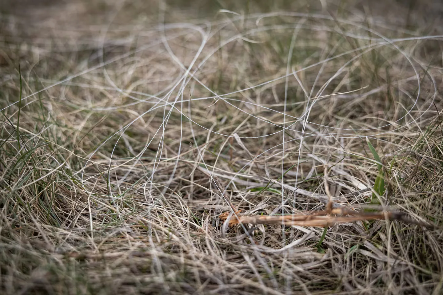 Викинутий оптоволоконний кабель під час випробувальних польотів.